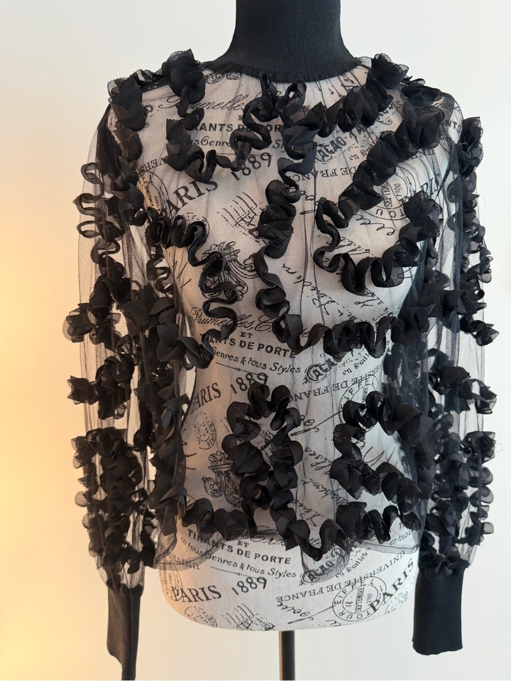 Zara Black Sheer Ruffle Appliqué Long Sleeve Top